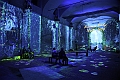 Claude Monet the immersive experience_116
